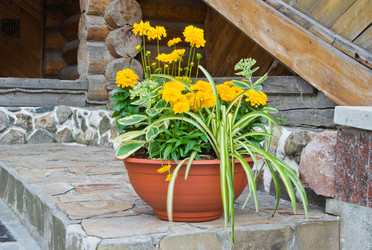 Similar image 15919691