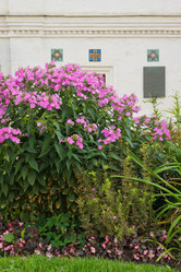 Similar image 15919796