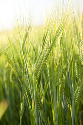 Similar image 16221977