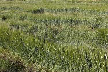 Similar image 16222010