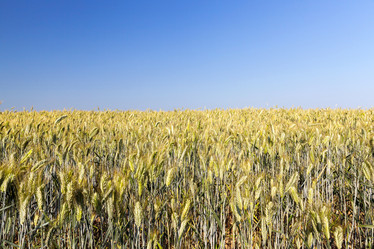 Similar image 16221980