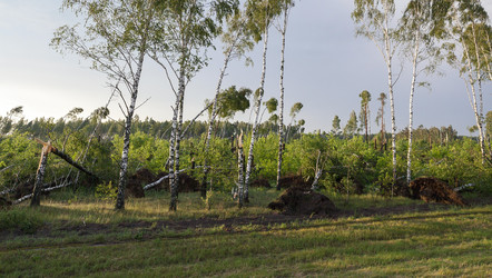 Similar image 16222011