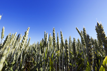 Similar image 16222016