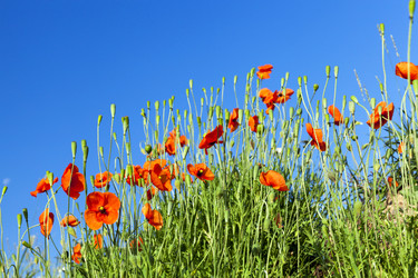 Similar image 16222039