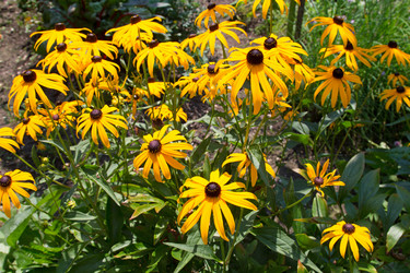 Similar image 15927037