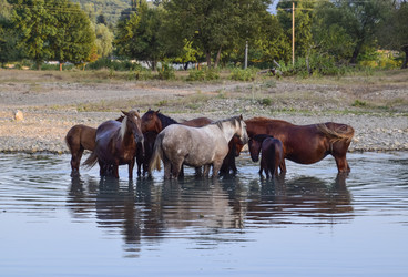 Similar image 15570753