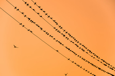 Similar image 15570758