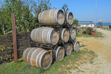 Similar image 15915573