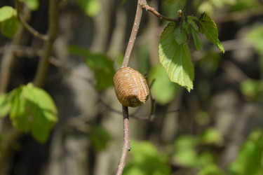 Similar image 15570306