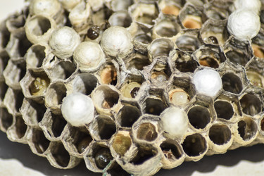 Similar image 15570307