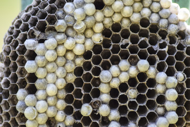 Similar image 15570309