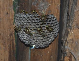 Similar image 15570311