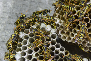 Similar image 15570314