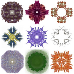 Similar image 15924387