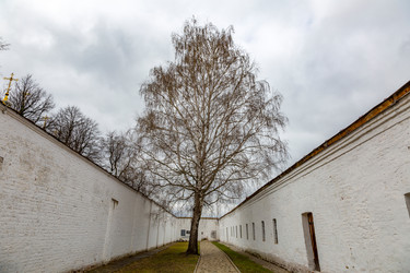 Similar image 15570796