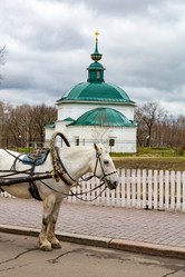 Similar image 15570519