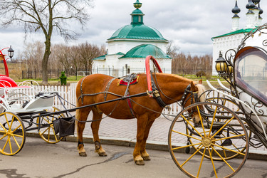 Similar image 15570520