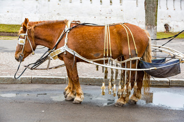 Similar image 15570521