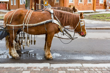 Similar image 15570535