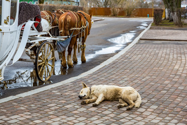 Similar image 15570537