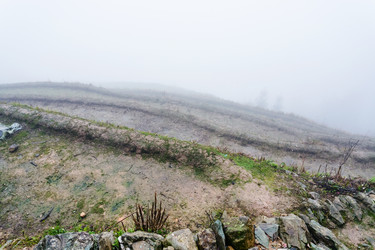 Similar image 16224112