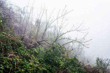 Similar image 16224410