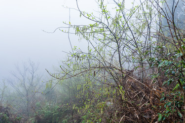 Similar image 16224448