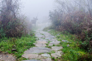 Similar image 16224450