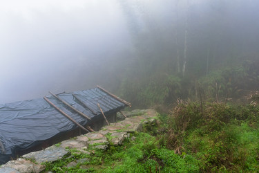 Similar image 16224471