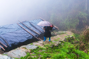 Similar image 16224488