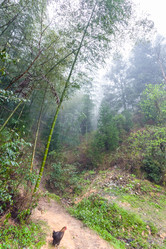 Similar image 16224555