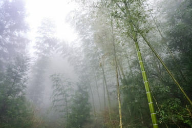 Similar image 16224416