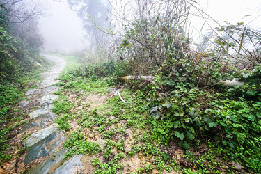 Similar image 16224418