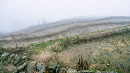 Similar image 16224454