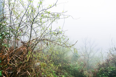 Similar image 16224456