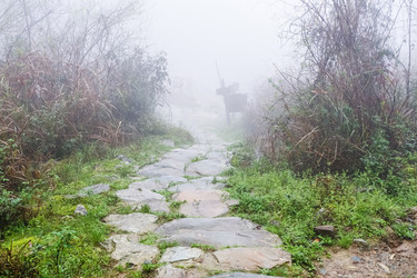 Similar image 16224474