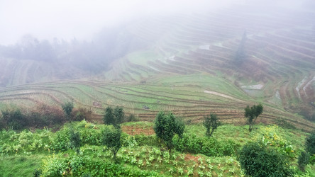 Similar image 16224497