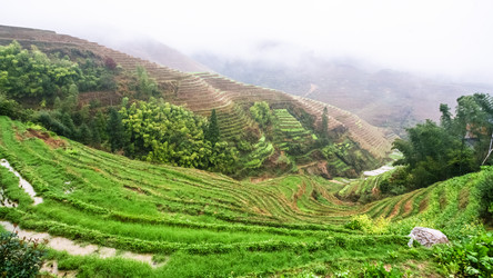 Similar image 16224515