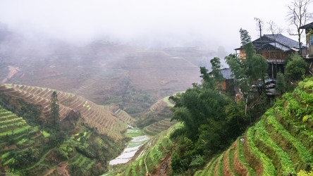 Similar image 16224535