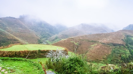 Similar image 16224537