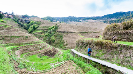 Similar image 16224578