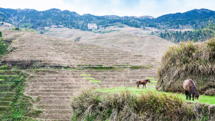 Similar image 16224581