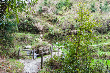 Similar image 16224639