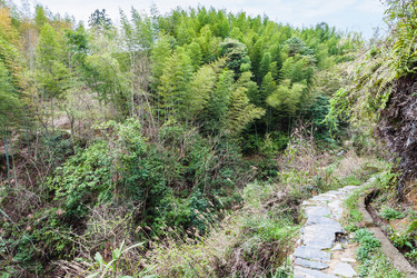 Similar image 16224650