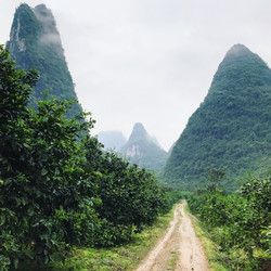 Similar image 16224458