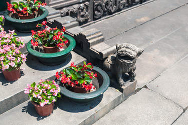 Similar image 16224520