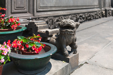 Similar image 16224521