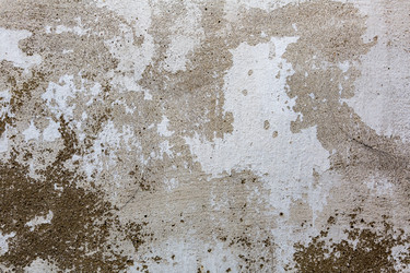 Similar image 15570880