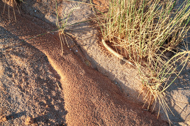 Similar image 16223790