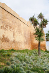 Similar image 16223822